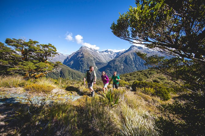 Full-Day Routeburn Track Key Summit Guided Walk from Te Anau - Key points to know before booking