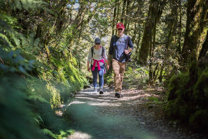 Full-Day Routeburn Track Key Summit Guided Walk from Te Anau - Why Key Summit works as a one-day Routeburn walk