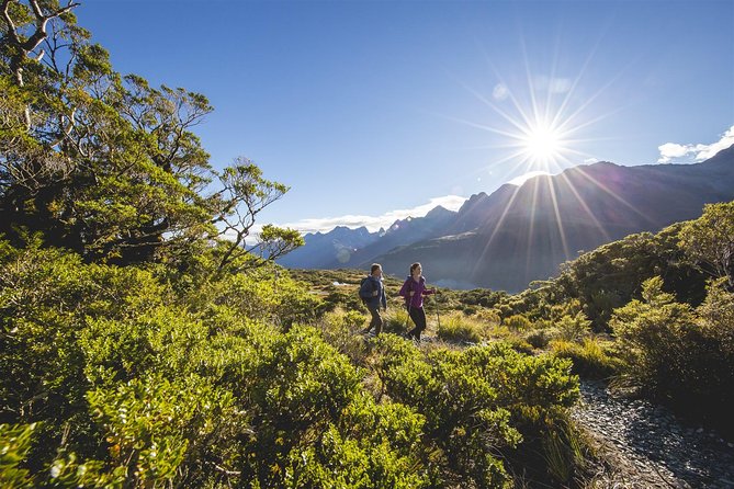 Full-Day Routeburn Track Key Summit Guided Walk from Te Anau - Forest, alpine plants, and open mountain views