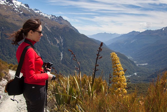 Full-Day Routeburn Track Key Summit Guided Walk from Te Anau - The descent and return to Te Anau