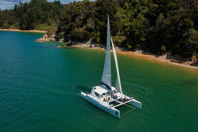 Full-Day Sailing Adventure in the Abel Tasman National Park - The afternoon return and the best chance for sailing