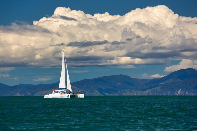 Full-Day Sailing Adventure in the Abel Tasman National Park - Who should book this sailing day