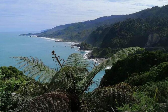 Full Day Tour of the Sights and Tastes of the West Coast - Key details to know before booking