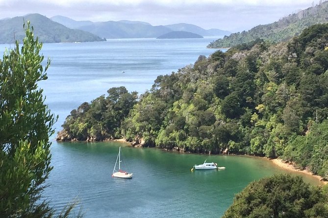 Full-Day Wine Gourmet and Scenic Delight Tour of Marlborough from Blenheim - Framingham shows the wider wine list