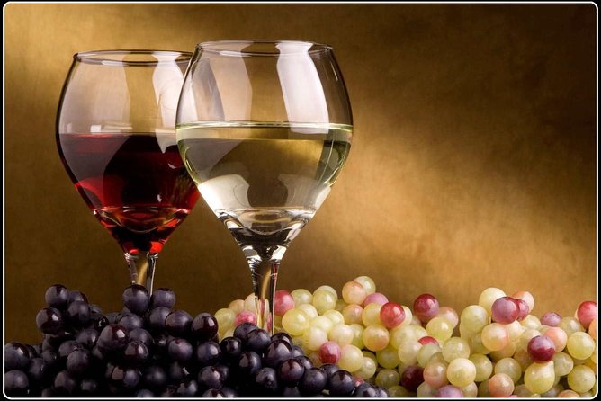 Full-Day Wine Gourmet and Scenic Delight Tour of Marlborough from Picton - Why this six-hour Marlborough outing works