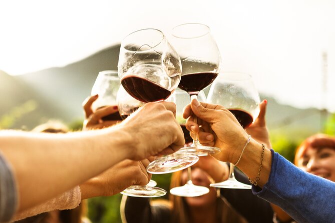 Full-Day Wine Tasting Tour in Auckland with 3-Course Vineyard Lunch - Group size, pace, and who will enjoy it