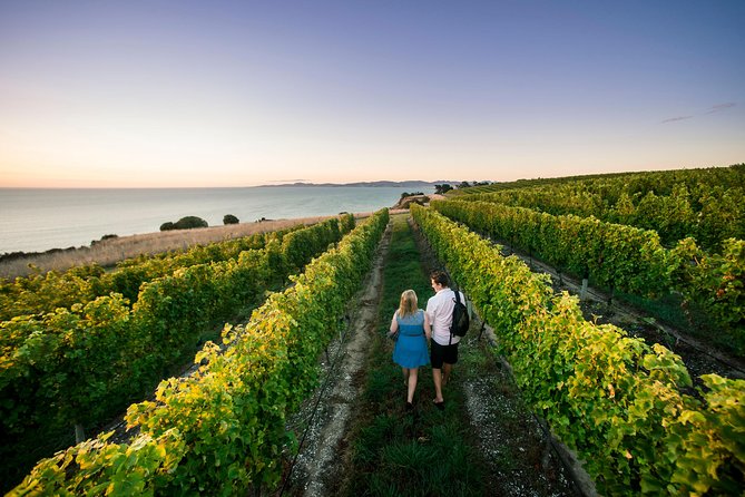 Full Day Winemakers Tour in Marlborough - Why a small Marlborough wine tour works well