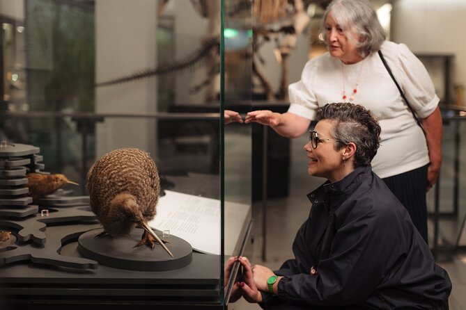 Gallery Highlights Tour and General Admission - Why the guided hour matters at Auckland Museum