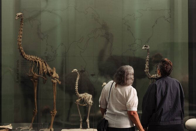 Gallery Highlights Tour and General Admission - Timing, access, and the meeting point