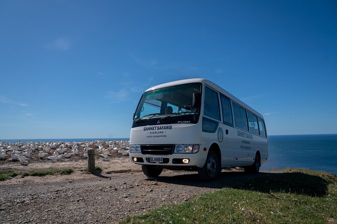 Gannet Safaris Overland tour to Cape Kidnappers Gannet Colony - What the three-hour schedule feels like