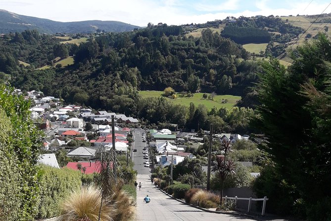 Garden and City tour - Signal Hill supplies the big Dunedin view