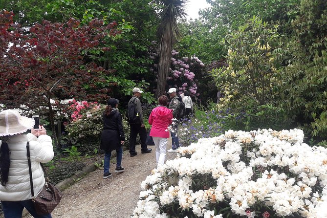 Garden and City tour - Toitu Otago Settlers Museum adds meaning to the city tour