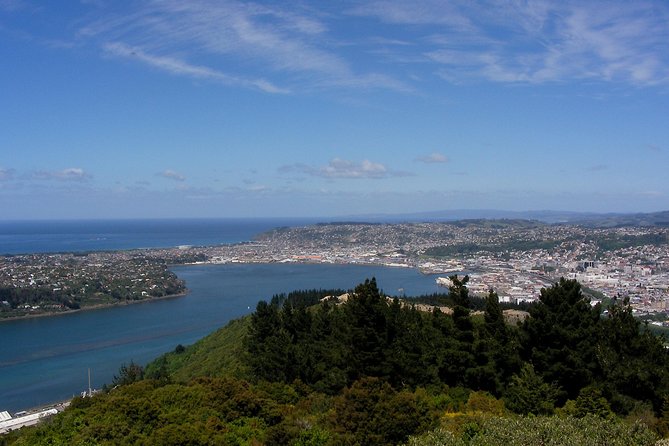 Garden and City tour - Baldwin Street turns sightseeing into a small physical challenge
