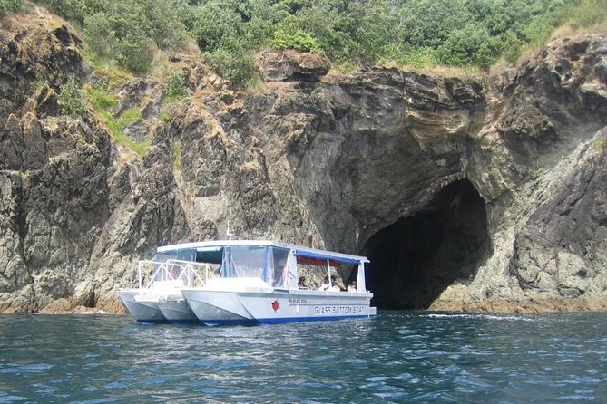 Glass Bottom Boat Tour - Why Goat Island makes a good short outing