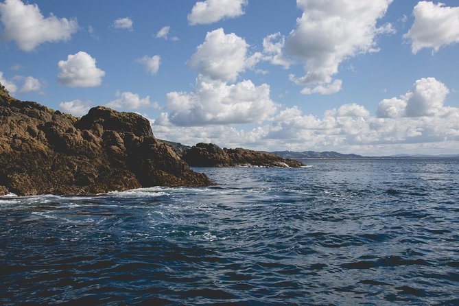 Glass Bottom Boat Tour - The value of $31.83 per person