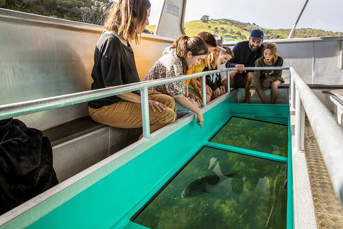 Glass Bottom Boat Tour - The 50-minute cruise through the marine reserve