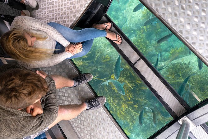 Glass Bottom Boat Whitianga Cathedral Cove Cruise - Key points before you book