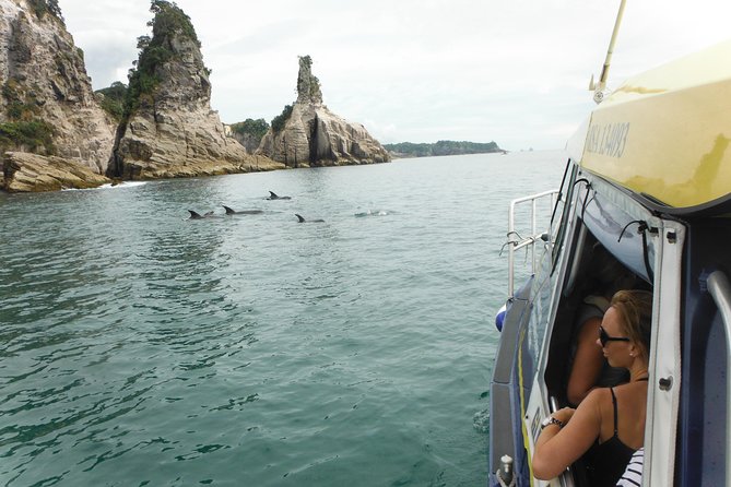 Glass Bottom Boat Whitianga Cathedral Cove Cruise - The snorkeling stop