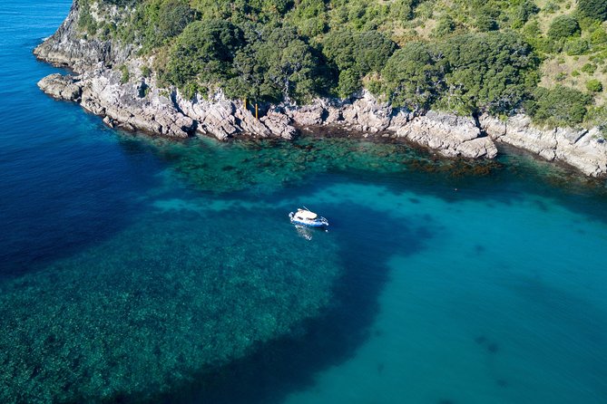 Glass Bottom Boat Whitianga Cathedral Cove Cruise - Wildlife and the mammal watch permit
