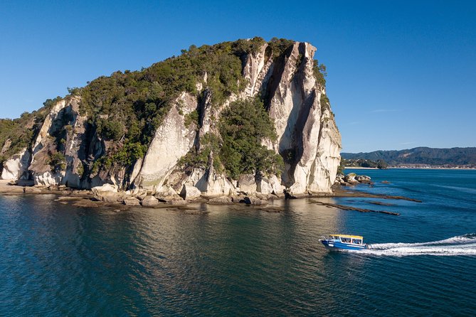 Glass Bottom Boat Whitianga Cathedral Cove Cruise - Who should book this cruise?