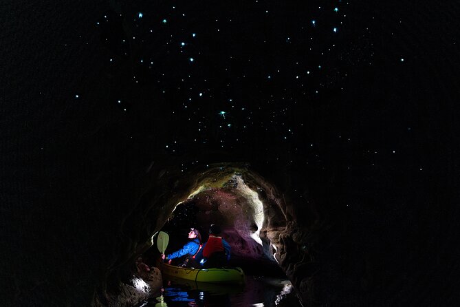 Glow Worm Kayak Tour - Key points before you book