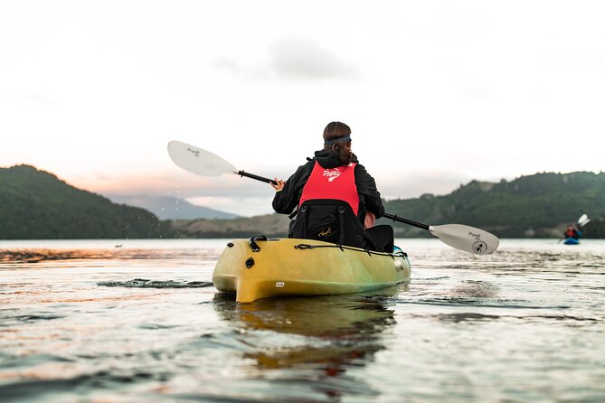 Glow Worm Kayak Tour - The sky can become the second highlight