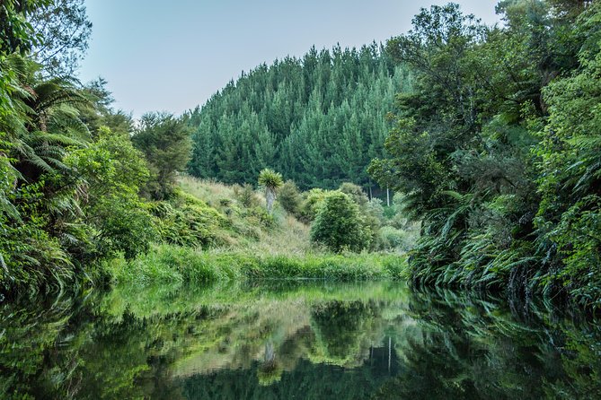 Glow Worm Kayak Tour - Group size, guides, and the feel of the evening