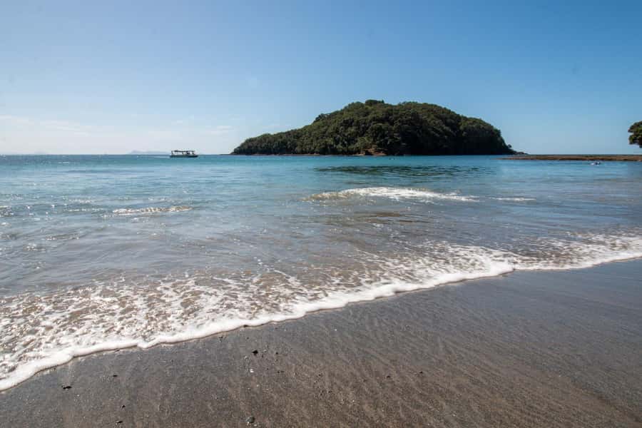Goat Island: Glass Bottom Boat Tour - Key things to know before boarding