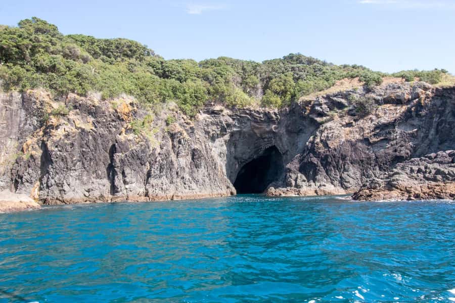 Goat Island: Glass Bottom Boat Tour - Choosing your departure time