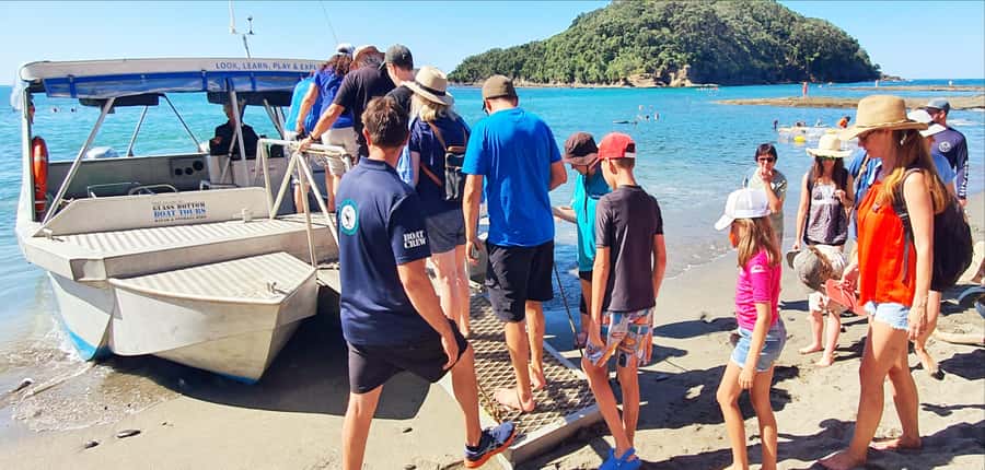 Goat Island: Glass Bottom Boat Tour - Should you book the Goat Island glass-bottom boat?