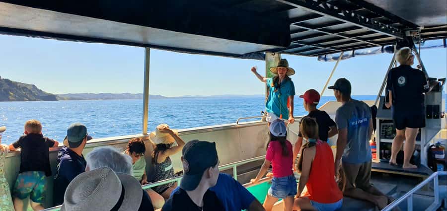 Goat Island: Glass Bottom Boat Tour - What you see below the glass
