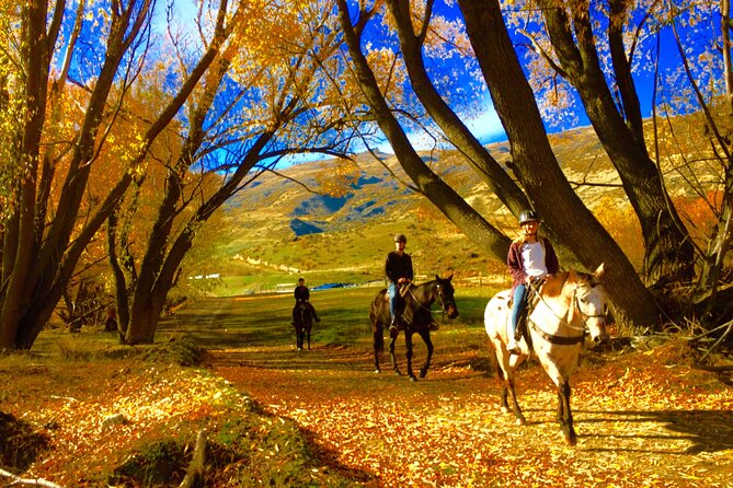 Gold Discovery Trail Horse Trek Cardrona - Most popular! - Meeting the horses at 2125 Cardrona Valley Road