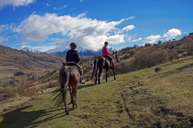Gold Discovery Trail Horse Trek Cardrona - Most popular! - The first ride: simple instruction for beginners