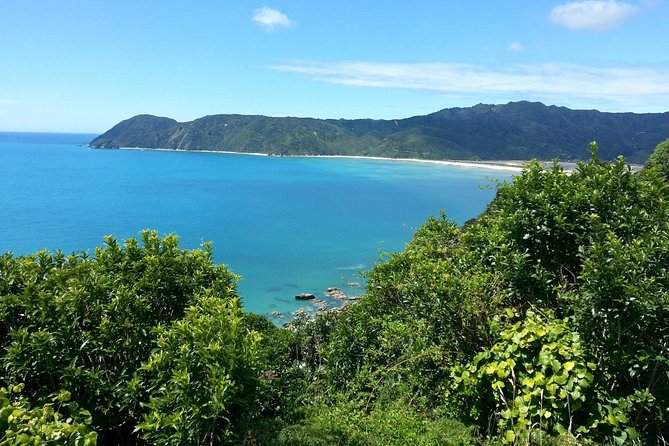 Golden Bay in a Day - Why Golden Bay Works as a Long Day Trip from Nelson