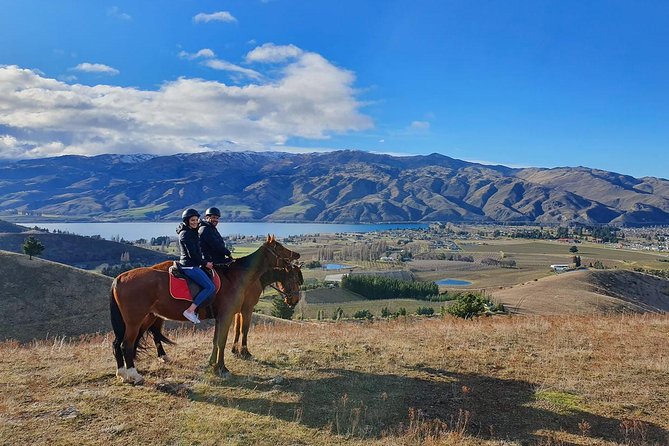 Golden Hills Horse Trek in Central Otago - Who will enjoy this ride most?