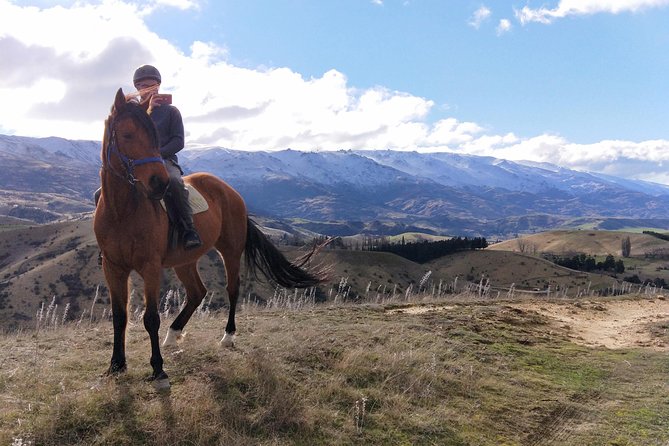 Golden Hills Horse Trek in Central Otago - Meeting the horses before the ride