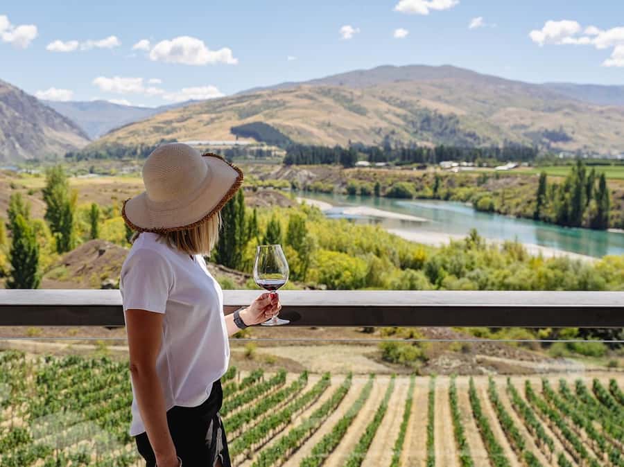 Gourmet Food and Wine Tour with Lunch and Wine Tastings - The first tasting and the underground wine cave