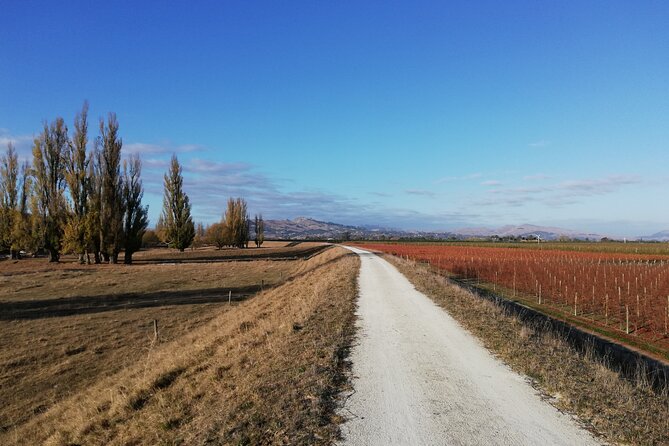 Great Escape Self-Guided Scenic Cycle Winery Tour from Napier - Ātea a Rangi and the estuary wetlands