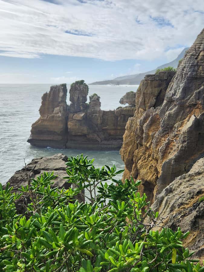 Greymouth: Full-Day Best Of The West Tour - Pancake Rocks and the blow holes