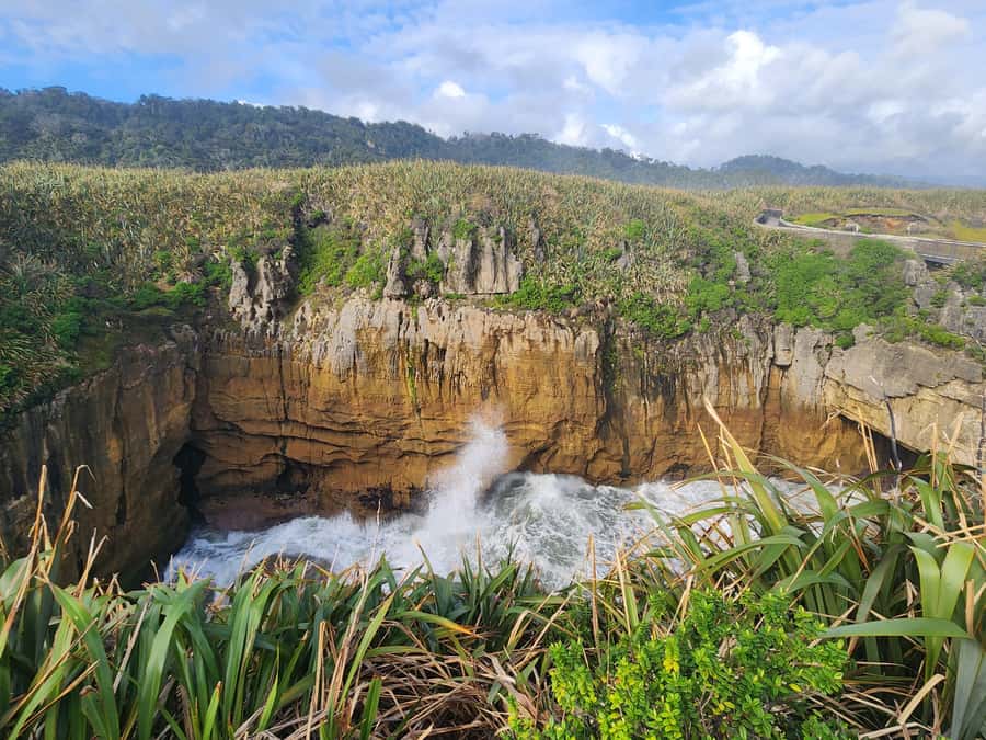 Greymouth: Full-Day Best Of The West Tour - Comfort, timing, and what to bring