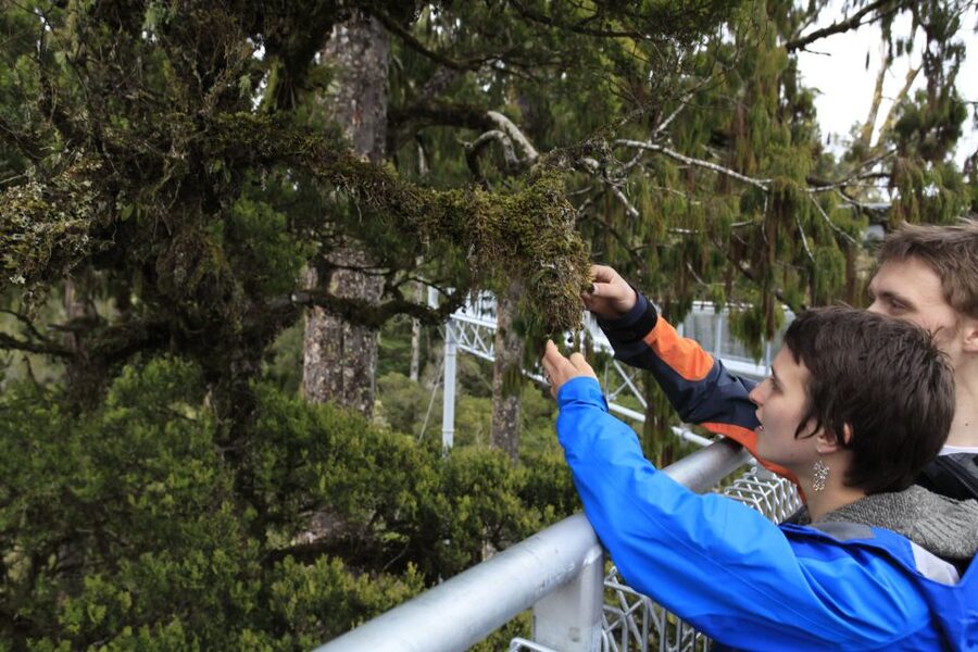 Greymouth: Glacier, Heritage & Wildlife Centre Guided Tour - Okarito, the quiet coastal stop