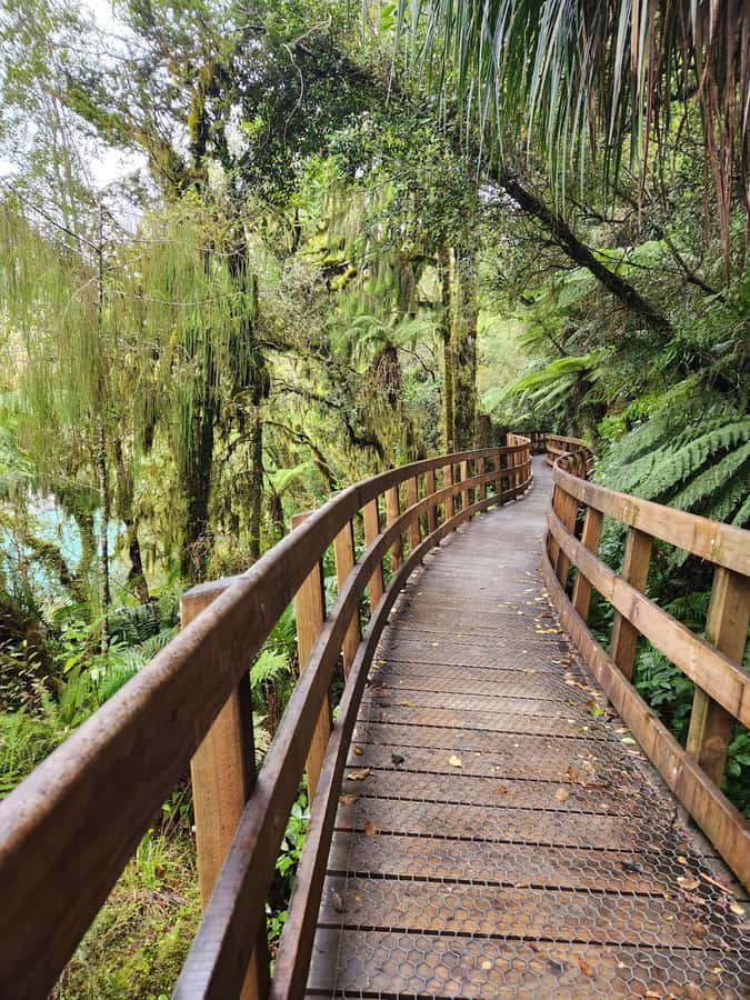 Greymouth: Hokitika Gorge and Tree Top Walkway Half-Day Tour - How weather can change the experience