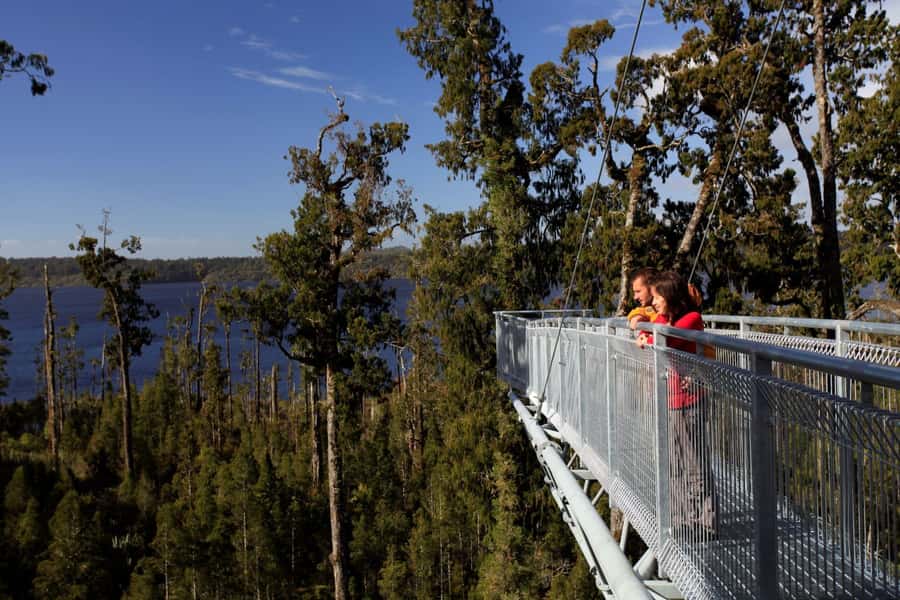 Greymouth: Hokitika Gorge and Tree Top Walkway Half-Day Tour - Walking beside Hokitika Gorge