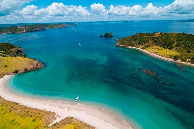 Group tour to Bay of Islands return from Auckland - Searching for dolphins among 144 islands