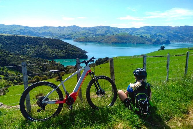 Guided Electric Mountain Bike & Sea Kayak Tour in Akaroa - What the small group changes