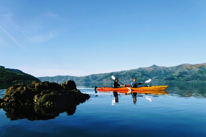Guided Electric Mountain Bike & Sea Kayak Tour in Akaroa - Who should book this Akaroa tour?