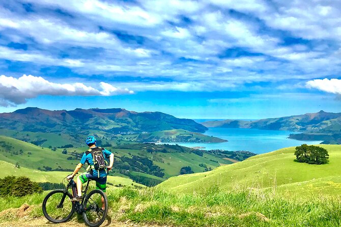 Guided Electric Mountain Bike Tour- Akaroa Explorer - The crater loop option and the value of flexibility