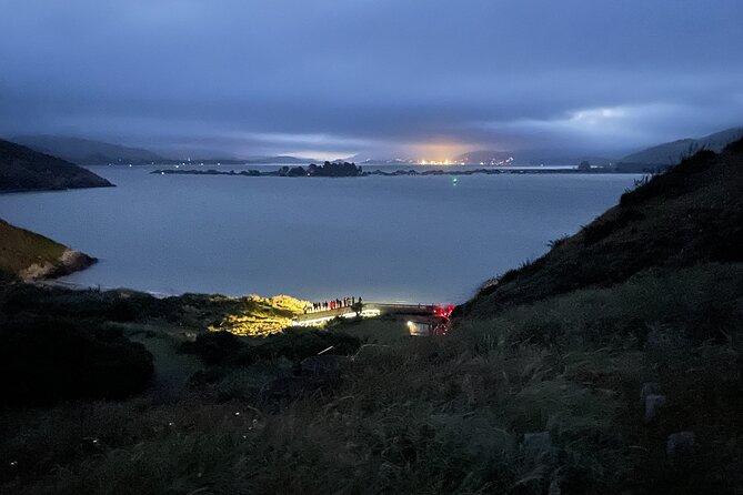 Guided Evening Penguin Viewing Otago Peninsula, Dunedin, New Zealand - Why the penguin return is the main event