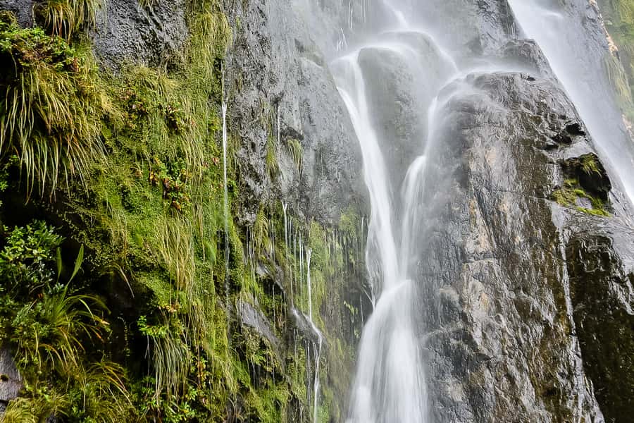 Guided Private Milford Sound Day Tour from Te Anau(Cruise In - Should you book this private Milford Sound day?