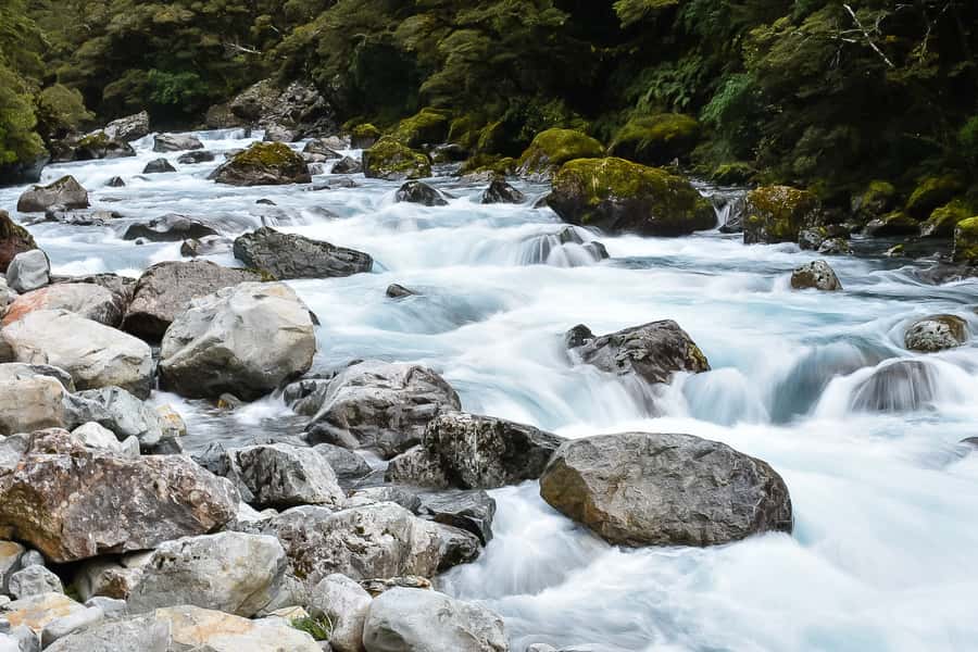 Guided Private Milford Sound Day Tour from Te Anau(Cruise In - Why the Te Anau departure makes sense